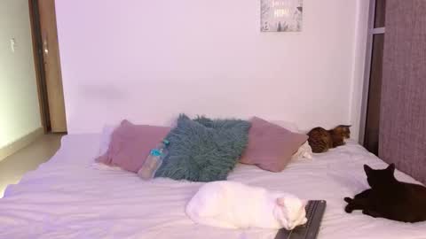      online show from March 10, 4:16 am