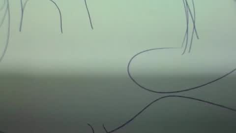 Scottietee online show from March 2, 5:08 am