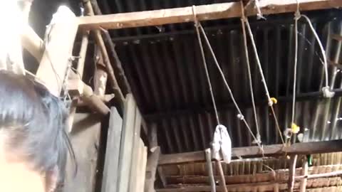 sweet_nessa30 online show from March 22, 11:44 pm