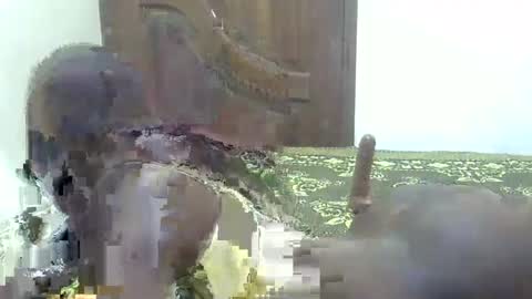 Sharon online show from September 11, 1:55 pm