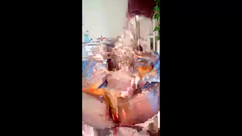 SweetSpot online show from March 24, 10:42 am