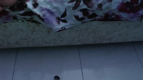 Thamy online show from March 12, 5:10 am