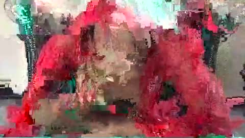 thenymphshow online show from December 20, 8:06 am