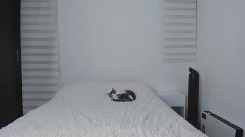 Ana online show from October 5, 11:54 pm