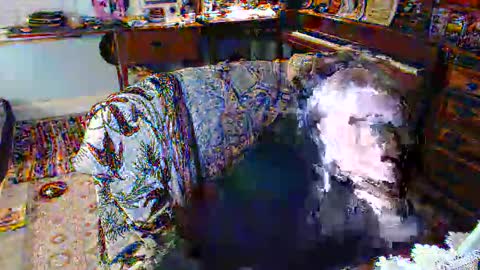 tooter online show from November 14, 5:07 am