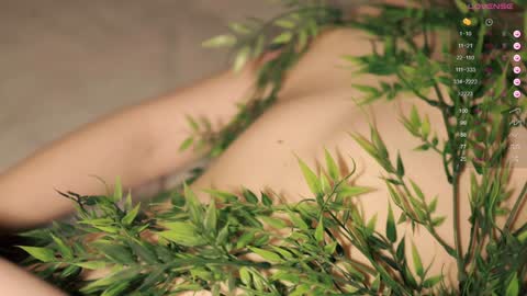 Toshi online show from January 12, 1:05 pm