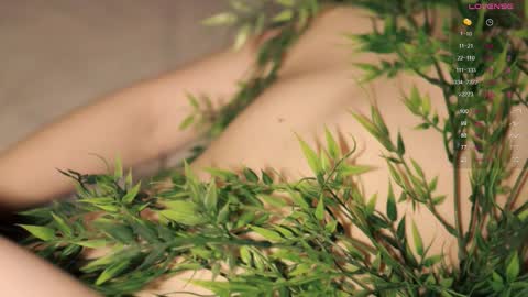 Toshi online show from October 12, 1:02 pm