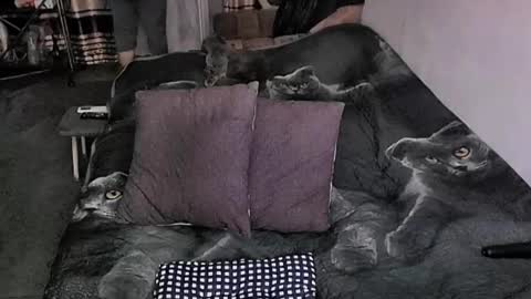 Lana online show from March 30, 12:10 am