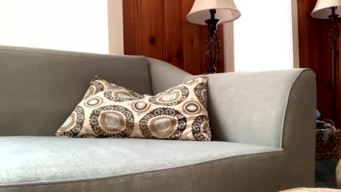 Tyler Sands online show from February 11, 2:46 pm