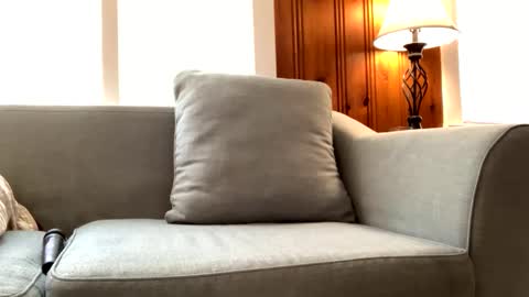 Tyler Sands online show from February 22, 3:10 pm