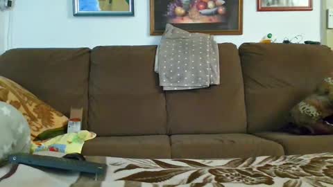 Cheating Slut online show from January 1, 4:50 am