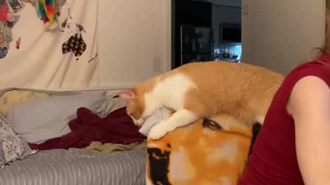 Vanessa  online show from December 15, 2:06 am