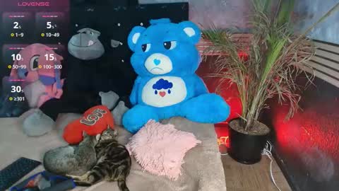 eva online show from February 10, 11:41 pm