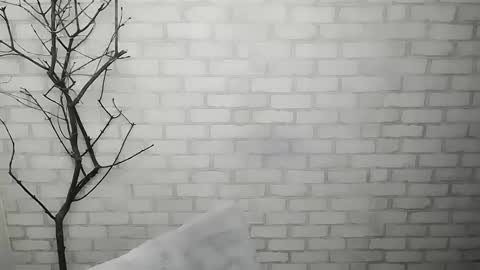 Ana online show from February 10, 9:14 am