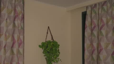 Naomi online show from September 20, 2:21 am