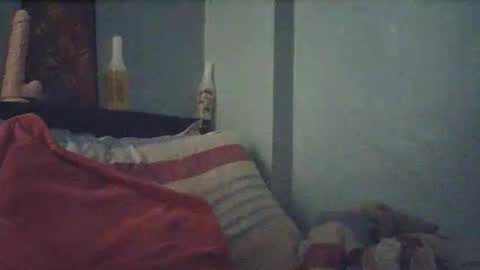 wildfiery online show from February 19, 4:56 am