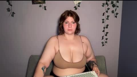 Bambi online show from February 19, 1:38 am