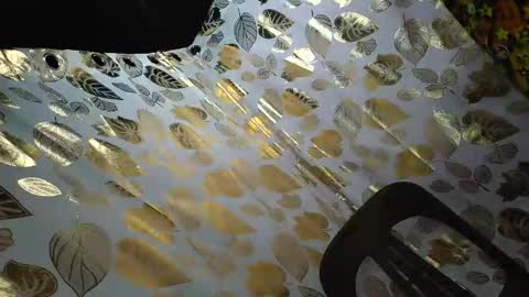 sunshine onduty online show from February 20, 2:21 am