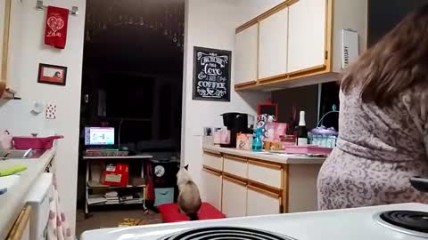 Strawberry Jane online show from February 3, 4:23 pm