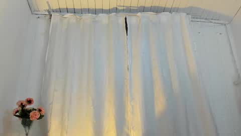 Zara . online show from February 25, 12:27 pm