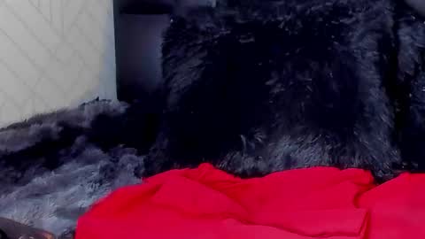 Zoe  online show from March 7, 12:12 pm