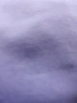 Misscata1106 online show from October 8, 9:08 pm