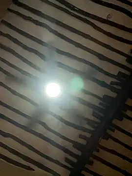 petiteebony 81 online show from November 26, 6:31 pm