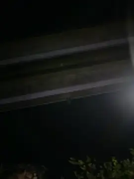 RavenM8 online show from February 20, 2:10 am