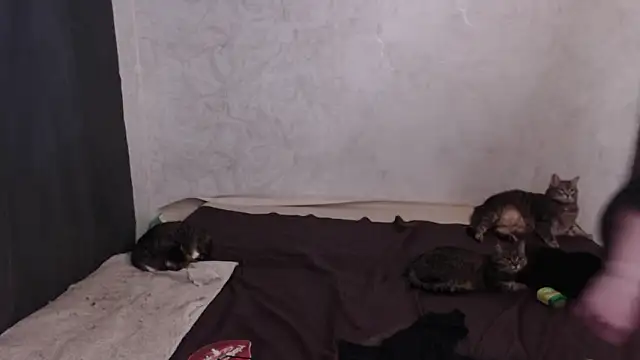 Olivia Winston online show from March 8, 2:04 am