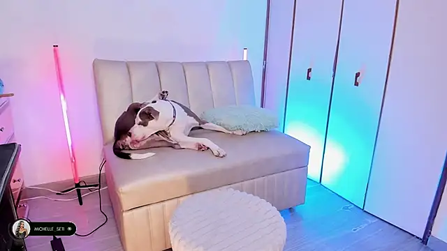 Michelle se online show from April 15, 9:59 pm