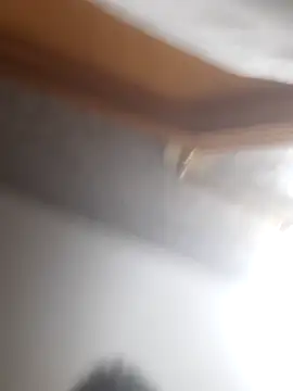 luuopo1102 online show from November 11, 2:51 am