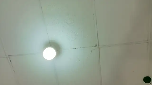 kendalltaylorr online show from March 6, 4:40 am