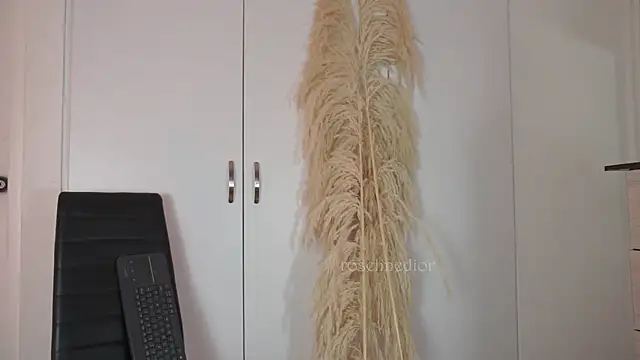 roselinedior online show from October 20, 2:20 pm