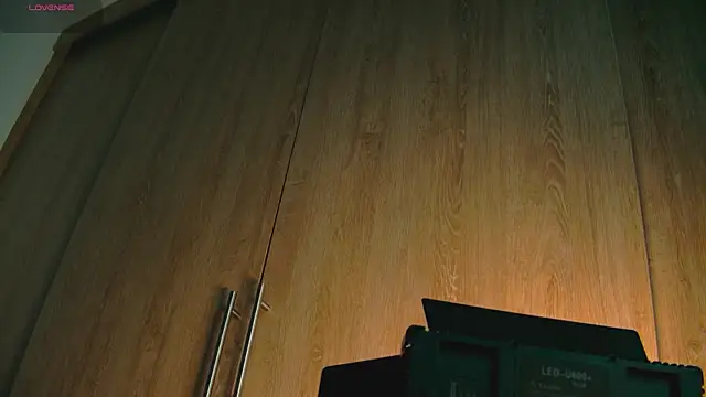 aidaadams online show from October 25, 8:33 am