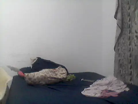 mariy  online show from October 16, 12:35 am