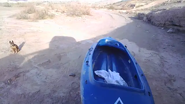 FloppyPickle4u online show from December 20, 10:47 pm