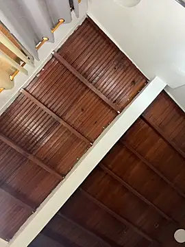 emiss  online show from March 27, 3:46 pm