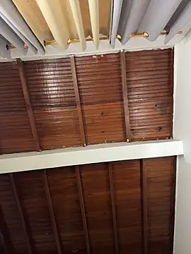 emiss  online show from April 16, 9:03 pm