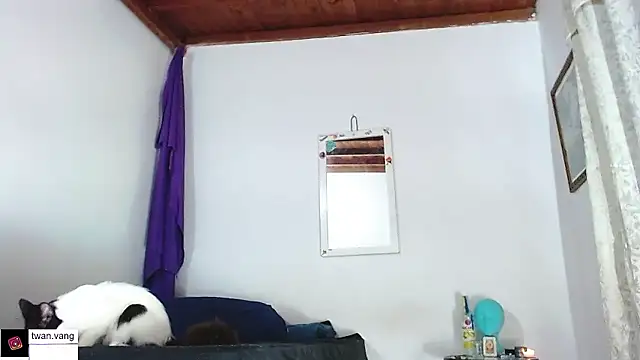 Trix fiore oficial online show from January 14, 3:00 am