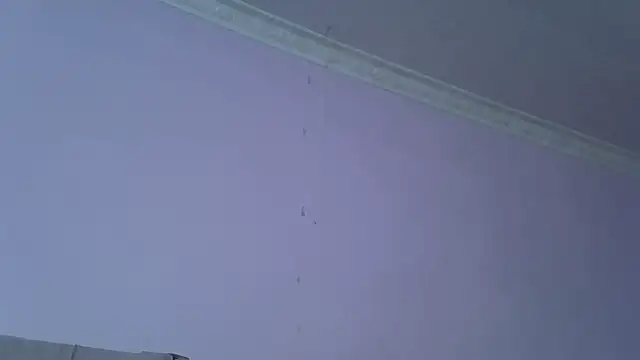 SweetMellowX1 online show from September 12, 6:37 pm