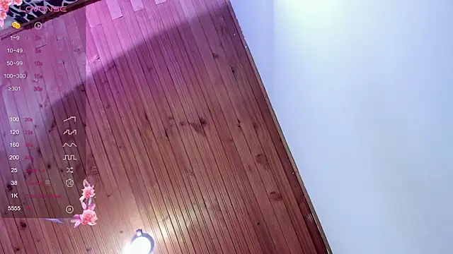 liz 25b online show from February 11, 4:03 am