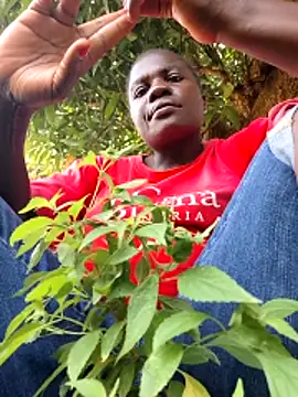 missarpie online show from November 18, 8:15 am