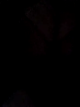 hugebobbs online show from March 16, 11:03 am