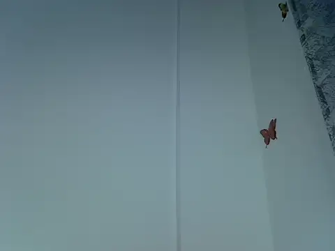 laetitia  online show from September 29, 10:48 pm