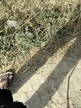 Miss Ayesha online show from April 11, 10:41 am