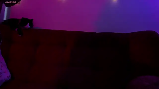 ohpetitemuse online show from November 19, 3:23 pm