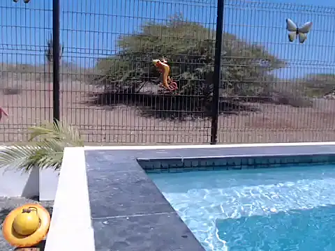 Wendysexyx online show from February 22, 3:57 pm