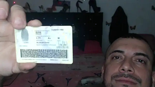 brigitht online show from November 26, 3:51 am