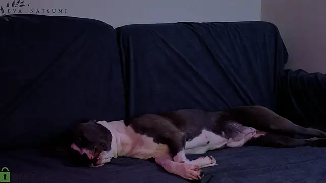 Eva Natsumi online show from October 15, 4:53 pm