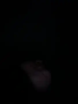 samantha kevin online show from October 1, 5:45 am